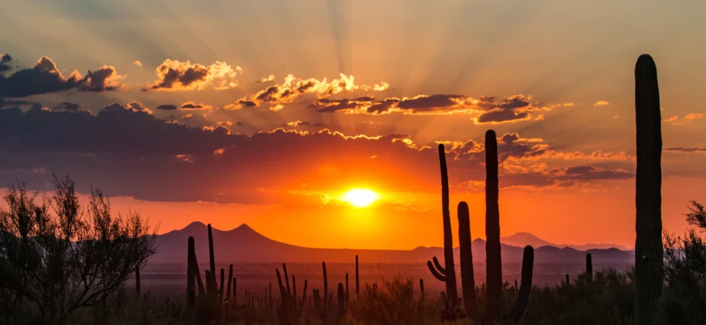 This is an image of a Tucson, AZ sunset. The sun is about half an hour from setting and it is illuminating the sky and desert in an orange glow.